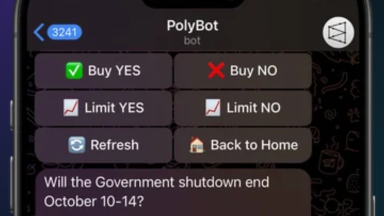 Polybot Example PolyBot - Trading Bots Polymarket Tool | LaunchPoly